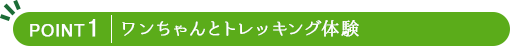 ワンちゃんとトレッキング体験