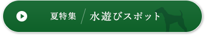 夏特集/水遊びスポット