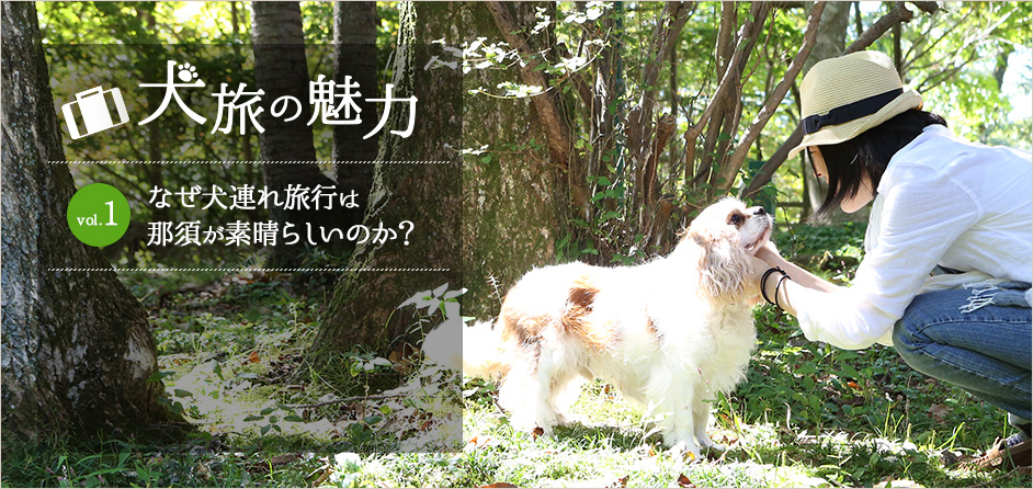 犬旅の魅力 なぜ犬連れ旅行は那須が素晴らしいのか？