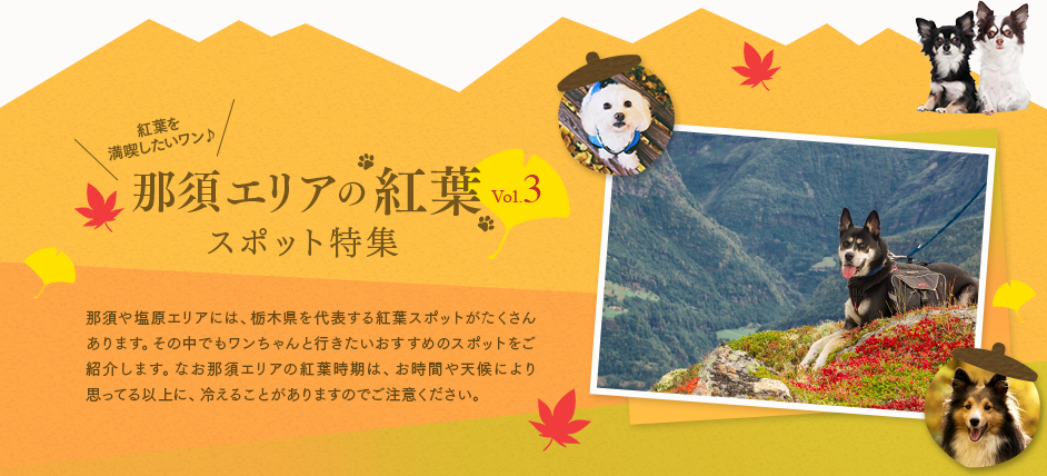 特集 vol.3 那須エリアの紅葉 スポット特集 那須や塩原エリアには、栃木県を代表する紅葉スポットがたくさんあります。その中でもワンちゃんと行きたいおすすめのスポットをご紹介します。なお那須エリアの紅葉時期は、お時間や天候により思ってる以上に、冷えることがありますのでご注意ください。