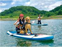 おでかけマップ ワンコネット那須 愛犬 ペットと一緒に楽しめる那須高原の旅行情報 宿ペンション情報が満載